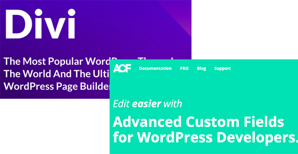 How To Add A Dynamic Image To A Divi Layout Using Advanced Custom Fields (ACF) – 2024