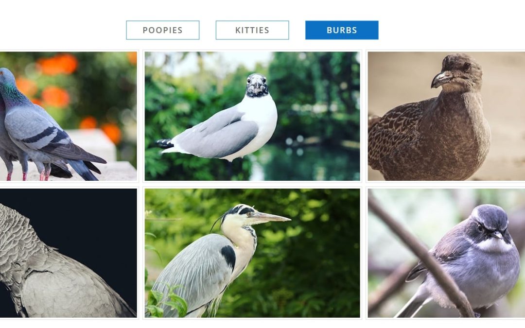 CREATE A FILTERABLE IMAGE GALLERY USING THE DIVI TABS MODULE